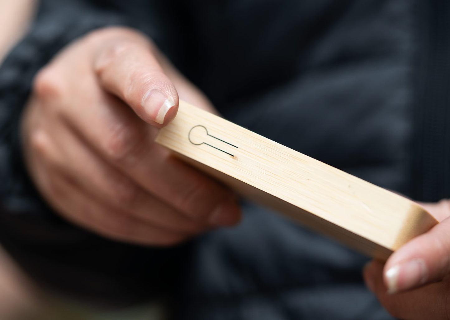 TE0689 Multicargador Civic