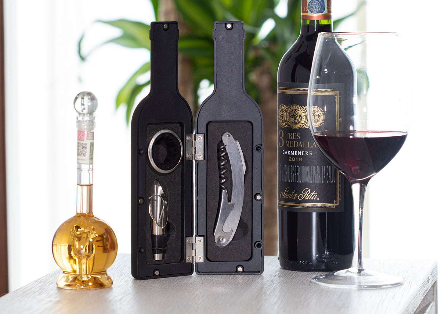 HO0310 Set Vino Bottle