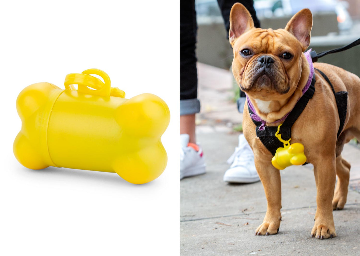 HO0025 Dispensador Hueso