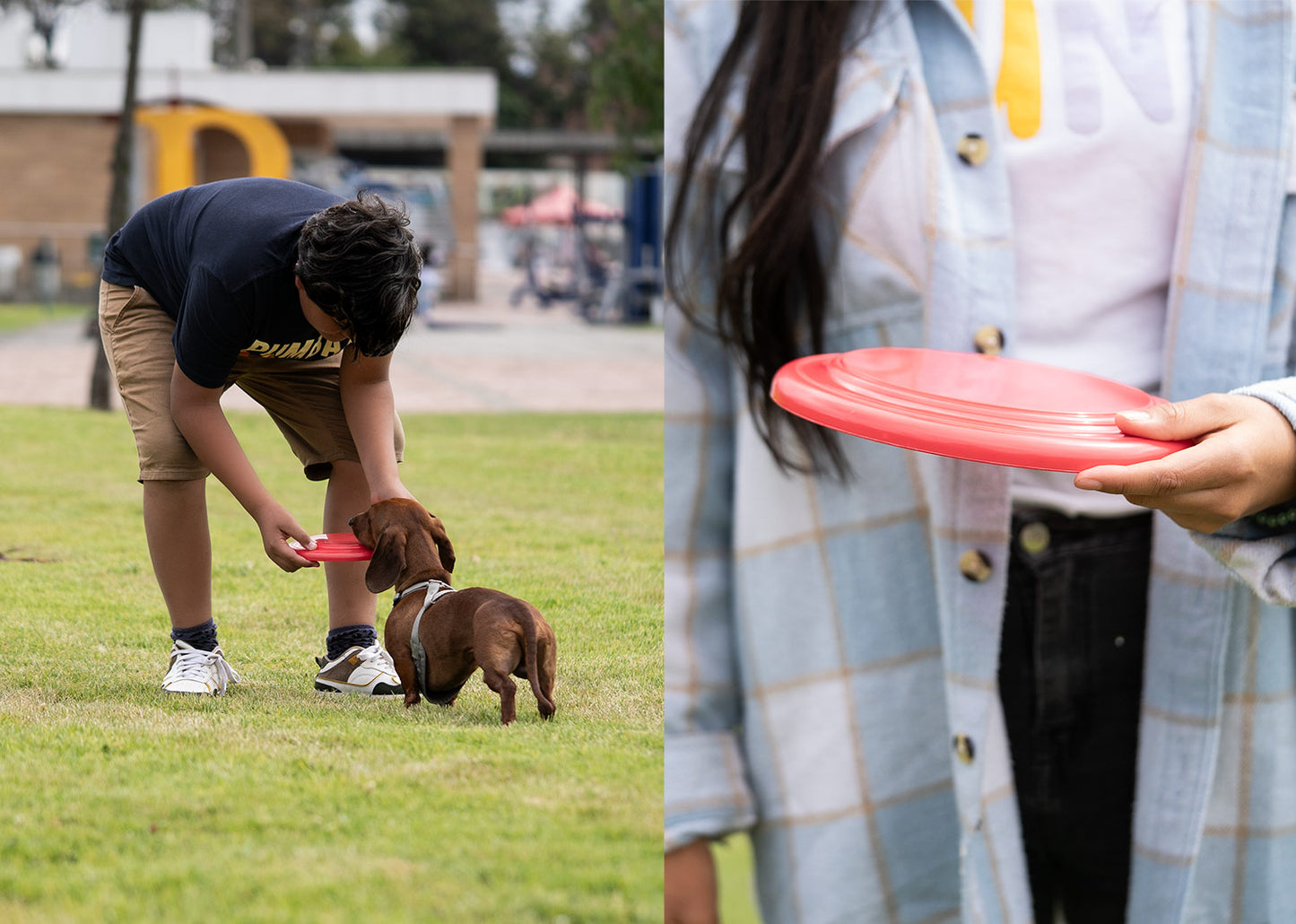 HO0402 Frisby para Mascotas Scrappy