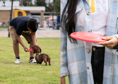 HO0402 Frisby para Mascotas Scrappy