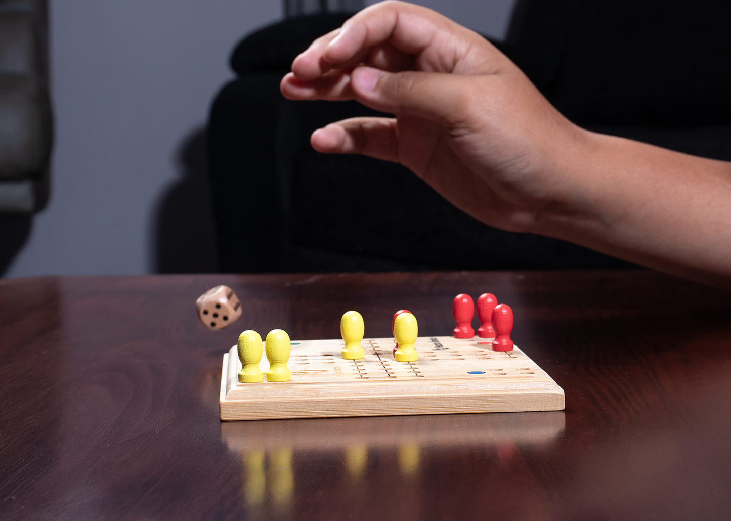 VI0320 Juego de Parchis Player