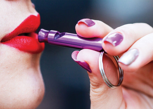 HE0290 Silbato Metálico Small