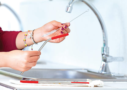 HO0357 Pitillo Ecológico Dolphin